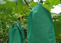 Anti-bird, insect and fruit prevention nonwoven bag agricultural protection grape growing bag