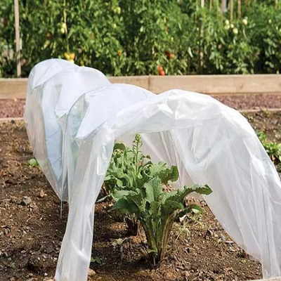 kopen PP nonwoven weefsel Landbouw Gebruik voor bescherming tegen vorst online manufacture