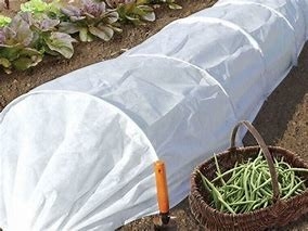 kopen Landbouw Weed Barrier Stof Voor Temperatuurbehoud Plaagbestrijding Stof Voor Groothandel online manufacture
