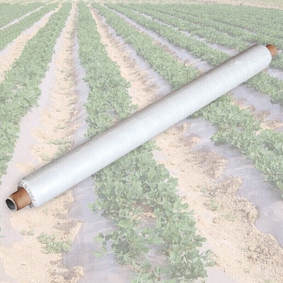 kopen Landbouw nonwoven weefsel, SMS, PP, PET, Anti-koude Anti-UV Anti-aging online manufacture