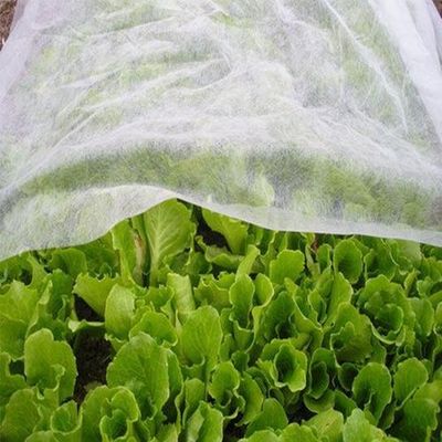 kopen Hygiene Agriculture Industry PP Nonwoven Fabric Hydropilic / Hydrophobic online manufacture