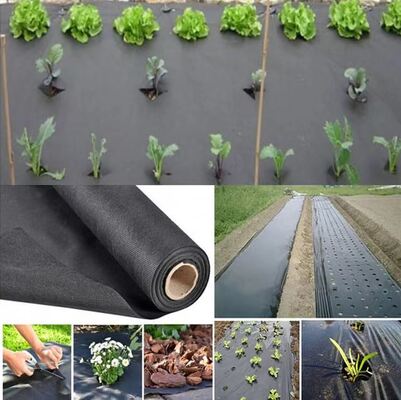 kopen Vegetable Agriculture Nonwoven Fabric Anti - frost Fruit Bag Winter Protect Use Nonwoven online manufacture