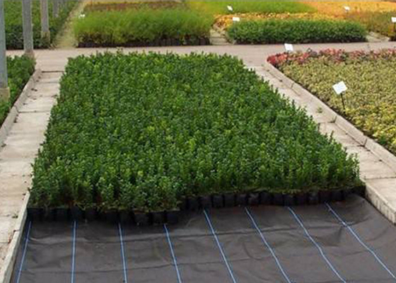 kopen Geweven de Stoffeninstallatie van de herbicidelandbouw niet/Gemalen Dekkings In te ademen Antivries online manufacture