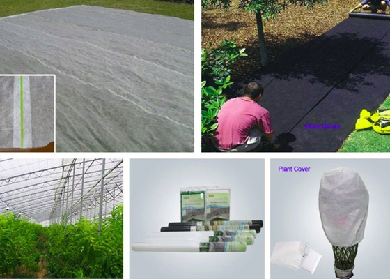 kopen Landbouw niet Geweven Polypropyleenstof Anti het Verouderen SGS Certificatie online manufacture