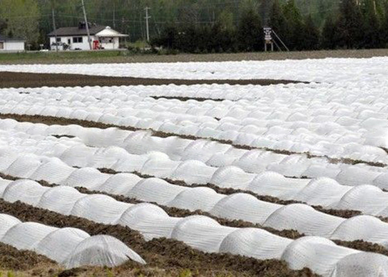 kopen Geweven Stof van de Eco de Vriendschappelijke Landbouw niet met 1% - UV Behandelde Beschikbare OEM/ODM van 4% online manufacture