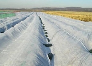kopen De in te ademen Hydrophobic Geweven Stof van pp niet Antistatisch voor Landbouw online manufacture
