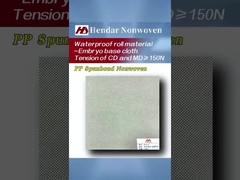 Voor bouwtechniek, kies Hendar Nonwoven