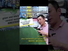 Tweekleurig non-woven groen en zwart voor onkruidbestrijding en lichtreflectie