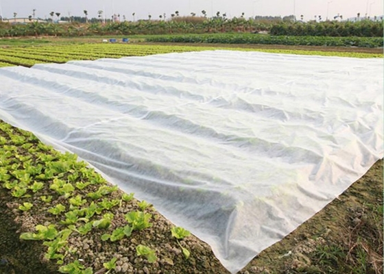 Gepersonaliseerde kleur en grootte PP-spunbond nonwoven stof voor landbouwtoepassingen