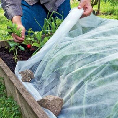 Geteelde zak PP Landbouw Niet-geweven Anti-kou Anti-vorst Niet-geweven Directe Levering