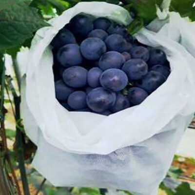 Grape Banana Landbouwschoenen van niet-geweven vruchten